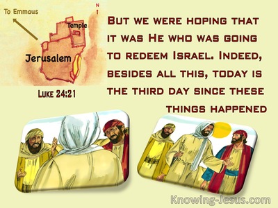 Luke 24:21 We Were Hoping He Was Going To Redeem Israel (yellow)